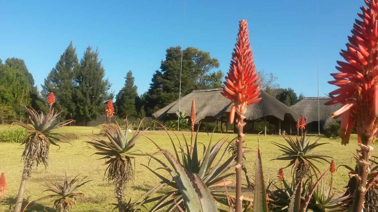 African Flair Country Lodge Piet Retief Bagian luar foto