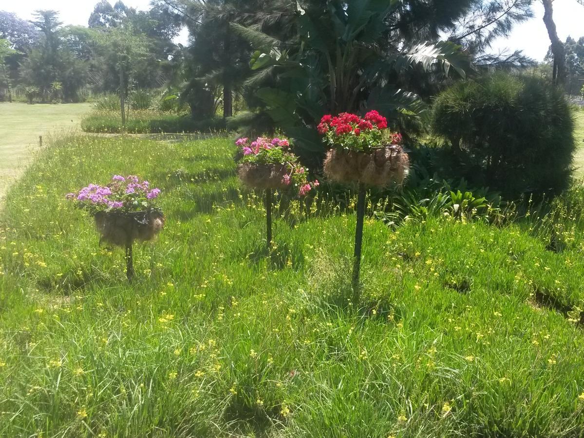 African Flair Country Lodge Piet Retief Bagian luar foto