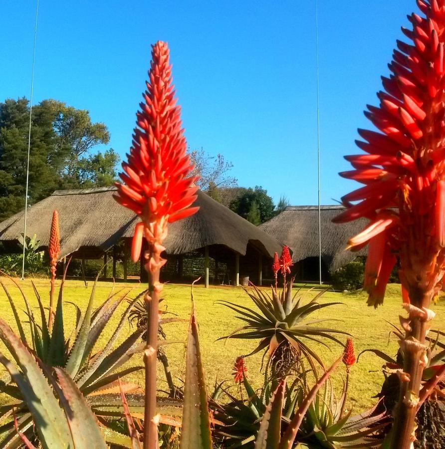African Flair Country Lodge Piet Retief Bagian luar foto